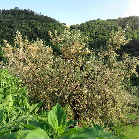 Gaiattone Eco Otel Assisi